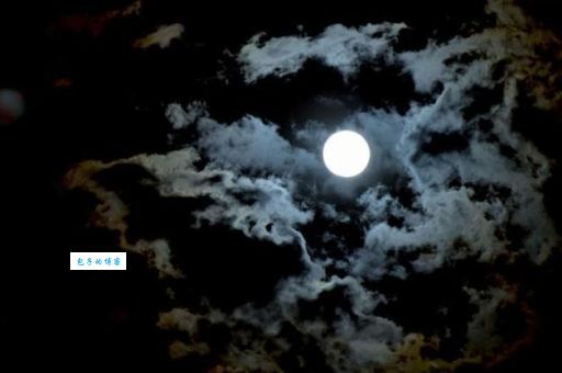 烘云托月打一最佳生肖怎么理解？高手分享的技巧