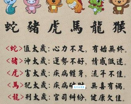 身姿肆意最准确的生肖是哪个？专家教你如何一眼看穿