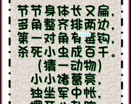 谜语：衣冠枭獍打一数字生肖，正确答案其实是这个！