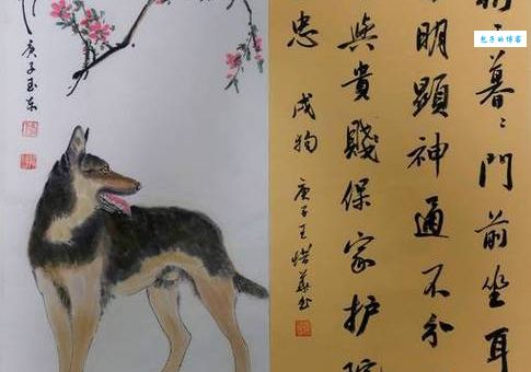 纹风不动打一最佳生肖是什么？资深谜语专家揭晓答案！