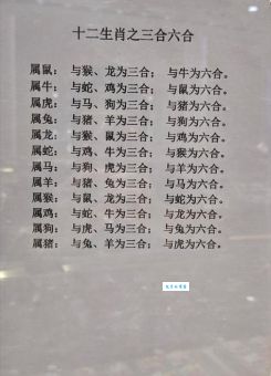 舍车保帅打一正确生肖的谜底是什么？高手为你揭晓谜底！