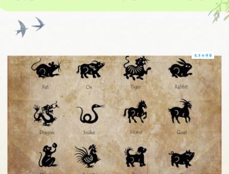 伶牙俐齿打一准确动物是什么？看完本文你就知道了！