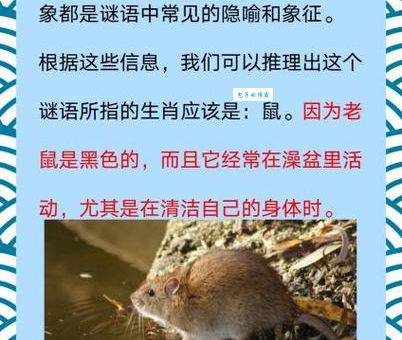 劈破傍门见月明打一准确生肖是它！生肖谜底正确答案揭秘！