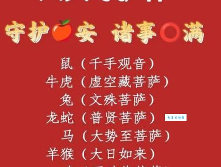 舍车保帅打一生肖谜底是什么？老司机教你快速猜中！