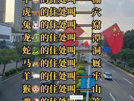 揭秘头头是道打一准确生肖是哪个？看完你就有答案了