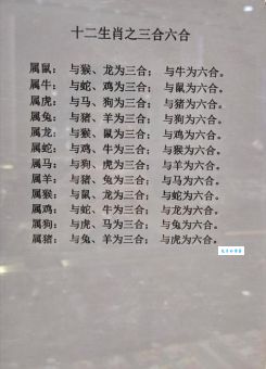 头头是道最正确的生肖解读！看看你有没有上榜单！