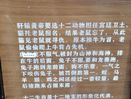 为什么说捱三顶四指什么生肖？背后有什么典故吗？