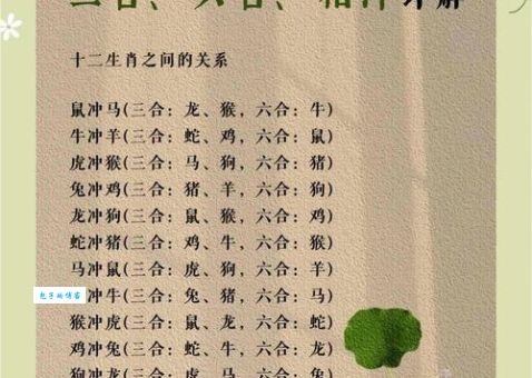 阴阳怪气指什么生肖？解密这个生肖背后的故事