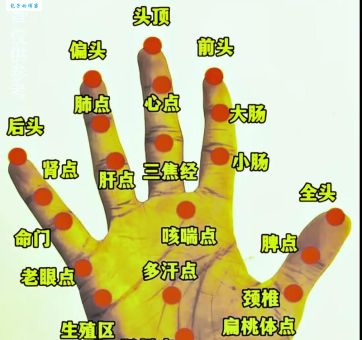 如何找到纹风不动最正确一肖？高手教你独家判断技巧