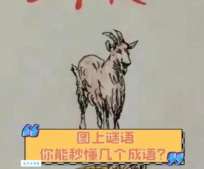 为什么南柯一梦打一生肖是它？答案解析让你秒懂！