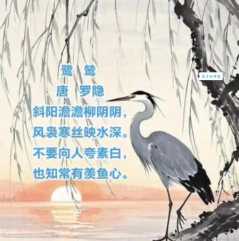 漠漠水田飞白鹭的生肖是什么？诗句背后隐藏的生肖秘密！