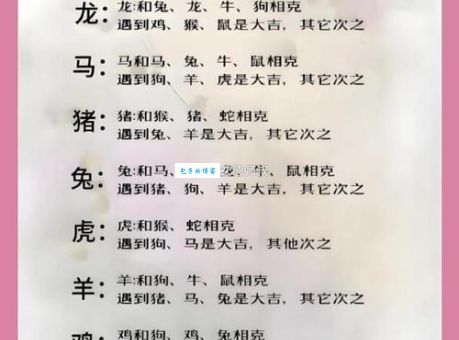 兔死狗烹三大肖真的相克吗？看完你就明白了！