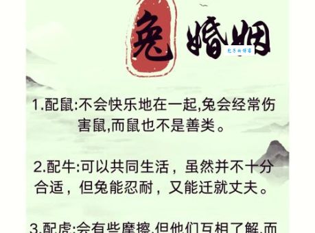 兔死狗烹三大肖真的相克吗？看完你就明白了！