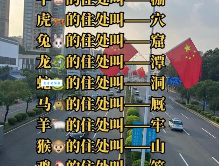 头头是道打一正确生肖怎么解？简单方法快速找到答案