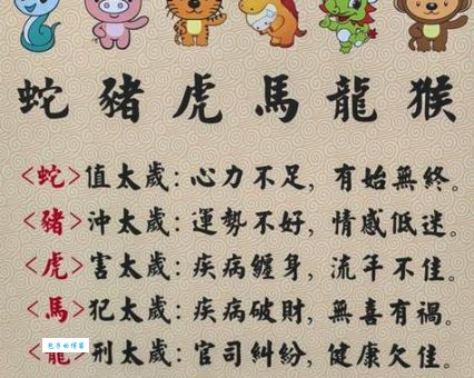 揭秘群芳争艳指什么生肖？轻松猜出十二生肖的秘密！