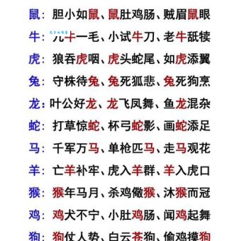 叶落归根终始一打一准确生肖有什么说法？生肖大师来揭秘！