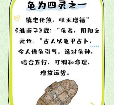 揭秘龟年鹤寿打一准确生肖！这个生肖代表长寿和吉祥！