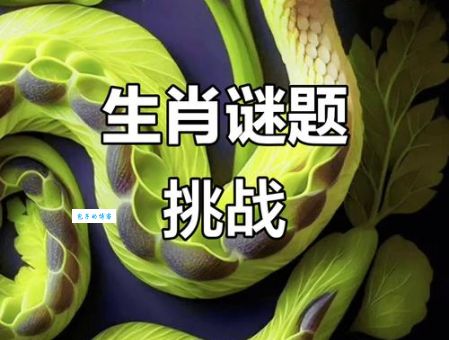 深不可测是什么生肖？很多人都猜错的神秘答案揭晓