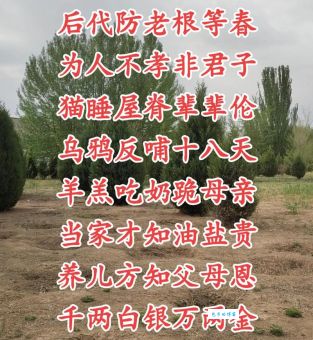 含饴弄孙是什么意思？原来它象征着家庭的温暖和谐！