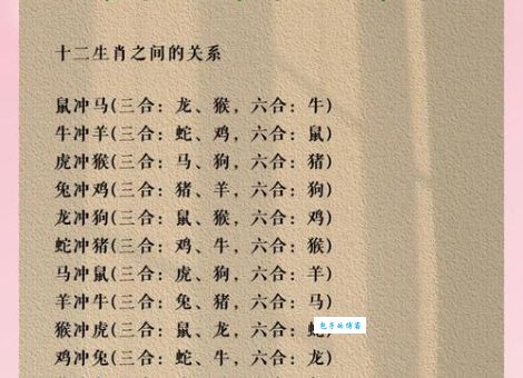 命根子是特马打一准确生肖的真正含义与背后的生肖秘密