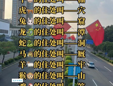 义不容辞打一准确生肖是哪个？高手教你轻松猜对！