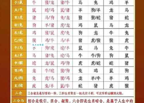 哀毁骨立打一正确生肖的答案是啥？生肖谜语解析！