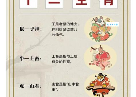 一举两失形容什么动物最好？解析生肖背后的文化寓意！