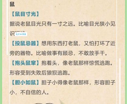 风华正茂打一最佳动物生肖，深度解析谜底背后的含义！