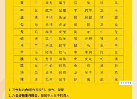 青山绿水代表什么生肖？看完这个详细分析你就明白了！