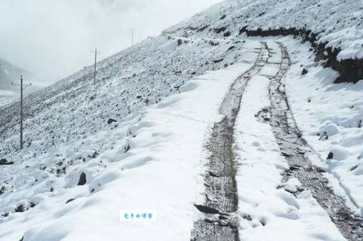 挨冻受饿打一生肖的准确答案？这篇文章帮你分析清楚了！