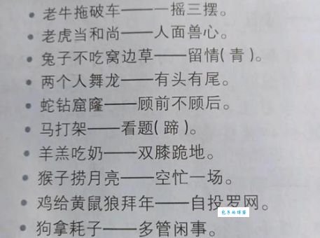 叹为观止对应的生肖有哪些?从成语含义帮你快速推断!