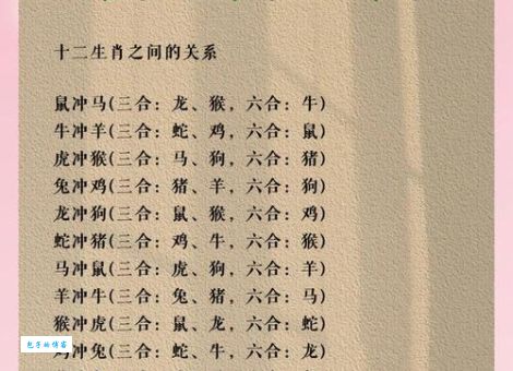 背信弃义打一正确生肖是多少？看完解析你就全明白了！