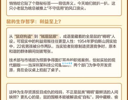 背信弃义打一正确生肖是多少?看完解析你就全明白了!