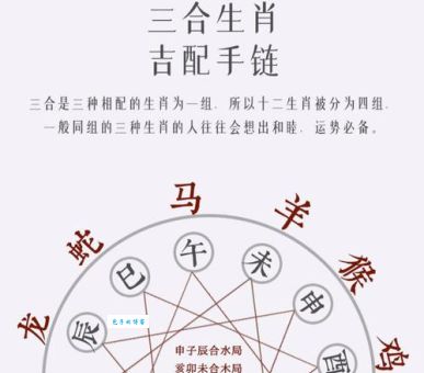 十一十三合一数究竟指什么生肖?揭秘生肖背后的数字寓意
