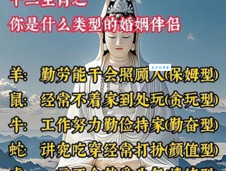 不念僧面念佛面是指什么生肖？通过这个词语的意思来找生肖