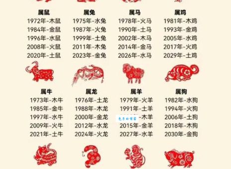 千金之裘代表哪个生肖？为您揭秘背后的生肖谜底