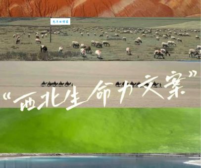 西北风呼啸的中午感悟人生，在这个寒冷的季节寻找温暖！