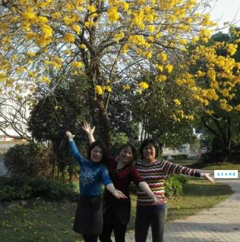 草长莺飞最准确的一肖哪家好？对比分析帮你做出正确决定！