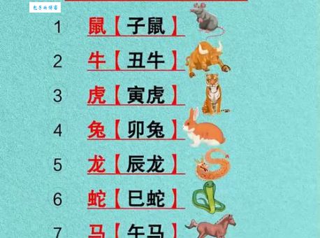 转危为安是指什么生肖？带你深入了解生肖小知识