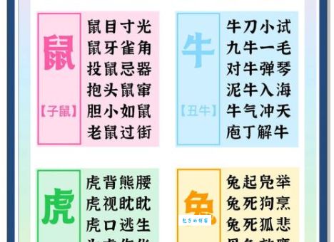 零碎不全是什么生肖？这几个答案哪个更贴合你的想法