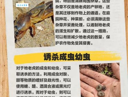 掘地三尺打一准确动物是什么?带你快速揭晓答案!