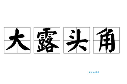 大露头角正确答案一肖公开，带你快速了解背后的含义！