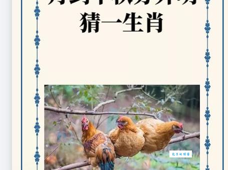 猜猜独木难支打一准确生肖，这几个生肖的可能性最大！