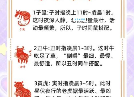 贪得无厌指什么生肖?这篇文章带你揭开生肖谜底!