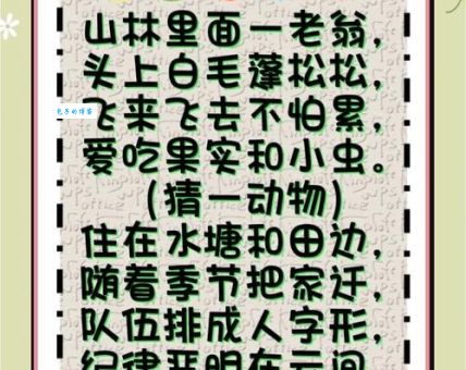 贪得无厌指什么生肖？这篇文章带你揭开生肖谜底！