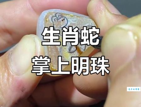 掌上明珠是指什么生肖？带你深入分析生肖中的掌上明珠