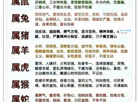 青丝白马打一个最佳生肖生肖？这篇分析文章带你了解！