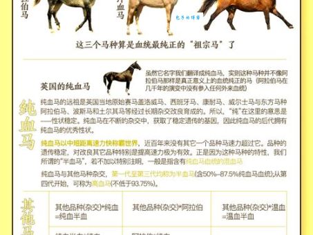 马耳秋风去无迹打一正确生肖，揭秘这个生肖背后的深刻含义