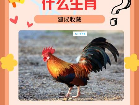 嫩草怕霜霜怕日打一准确生肖，看懂这个含义就明白了！