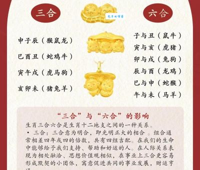 五马六猴是指什么生肖?带你深入了解背后的文化知识!